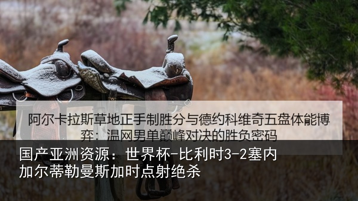 国产亚洲资源：世界杯-比利时3-2塞内加尔蒂勒曼斯加时点射绝杀