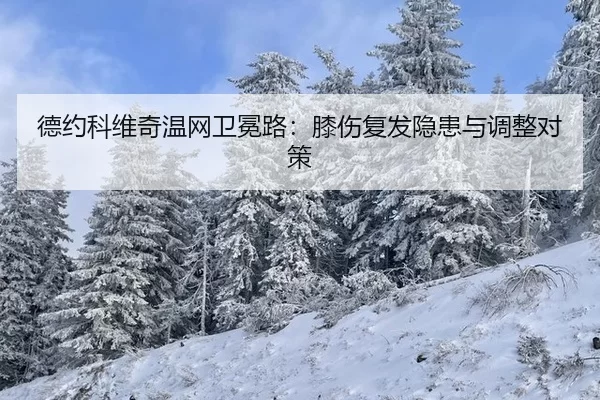 de-yue-ke-wei-qi-wen-wang-wei-mian-lu-xi-shang-fu-fa-yin-huan-yu-tiao-zheng-dui-ce-3-703.jpg