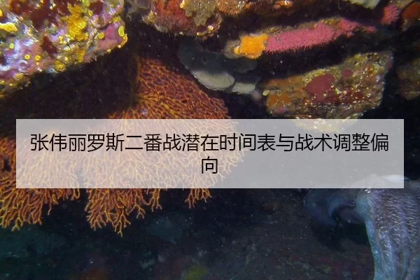 张伟丽罗斯二番战潜在时间表与战术调整偏向